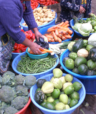 a picture of a lot of food